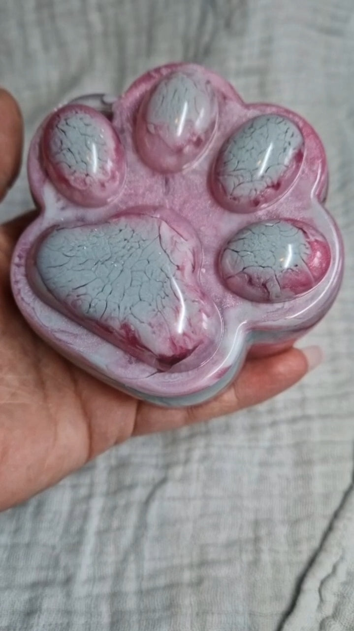 Dose "Pfote" aus Resin